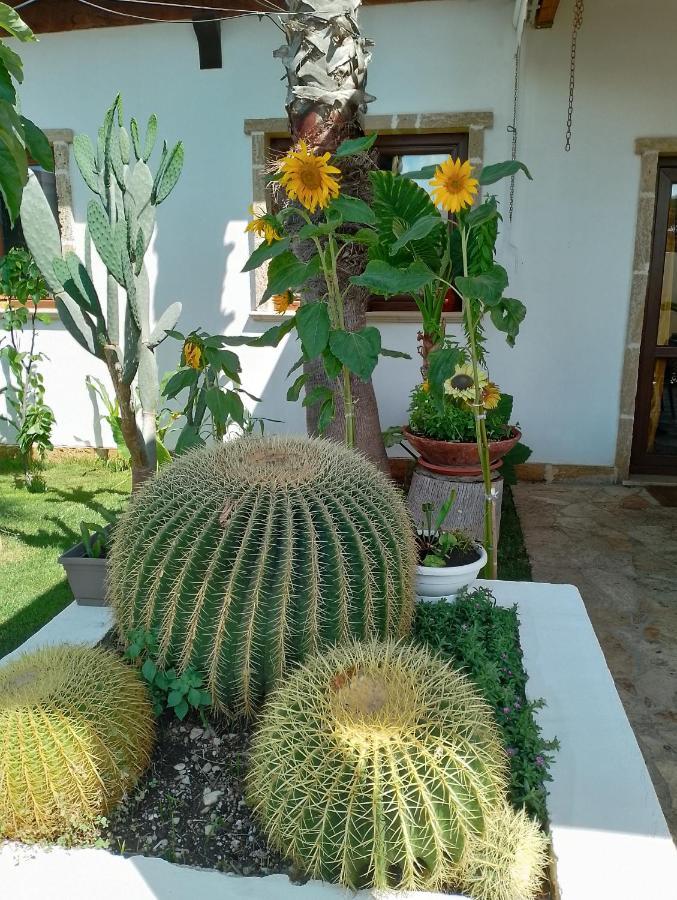 Villa Raggio Di Sole Parcheggio Privato Porto Cesareo Εξωτερικό φωτογραφία