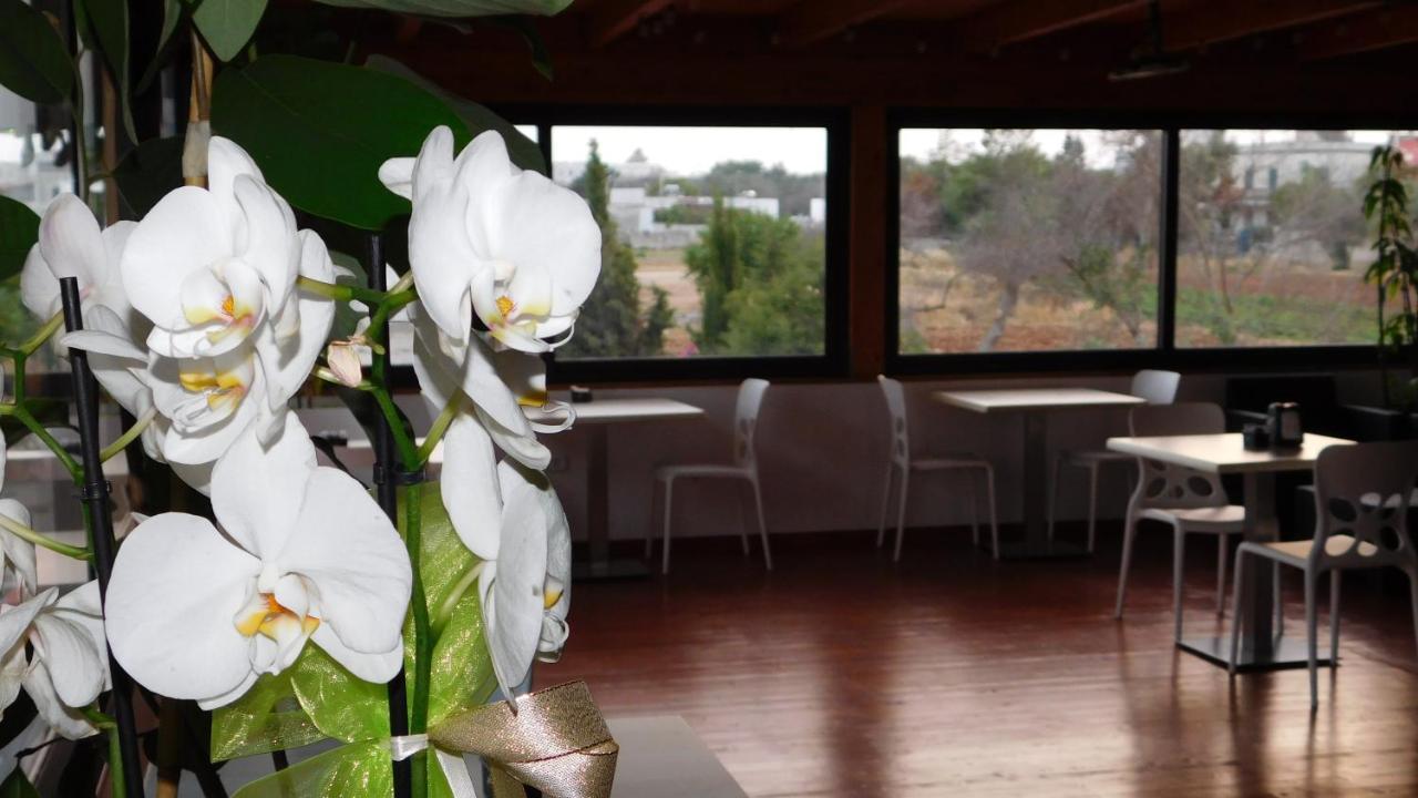 Villa Raggio Di Sole Parcheggio Privato Porto Cesareo Εξωτερικό φωτογραφία