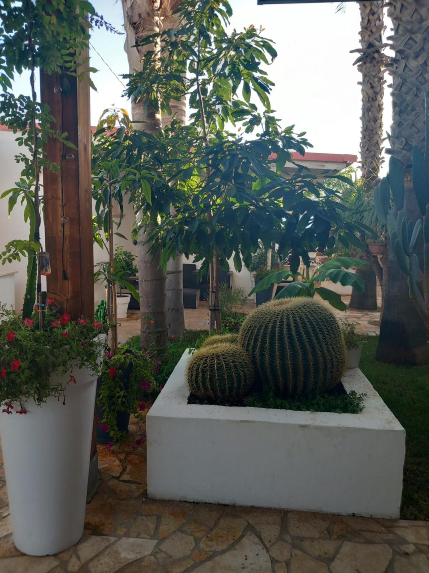 Villa Raggio Di Sole Parcheggio Privato Porto Cesareo Εξωτερικό φωτογραφία